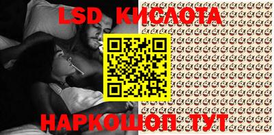 крисы Кулебаки