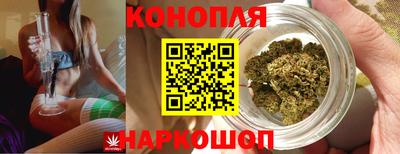 крисы Кулебаки
