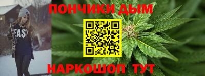 крисы Кулебаки