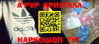 крисы Кулебаки
